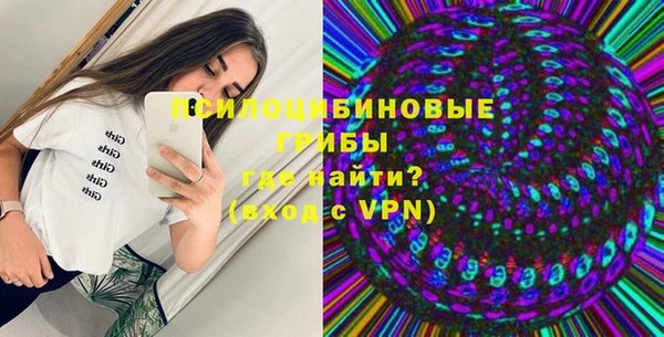 шишки Покровск